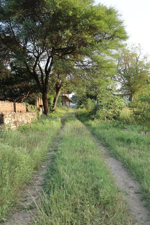 Vache Farm Stay Udaipur Exterior photo